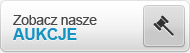 Przykładowy button strefa 1