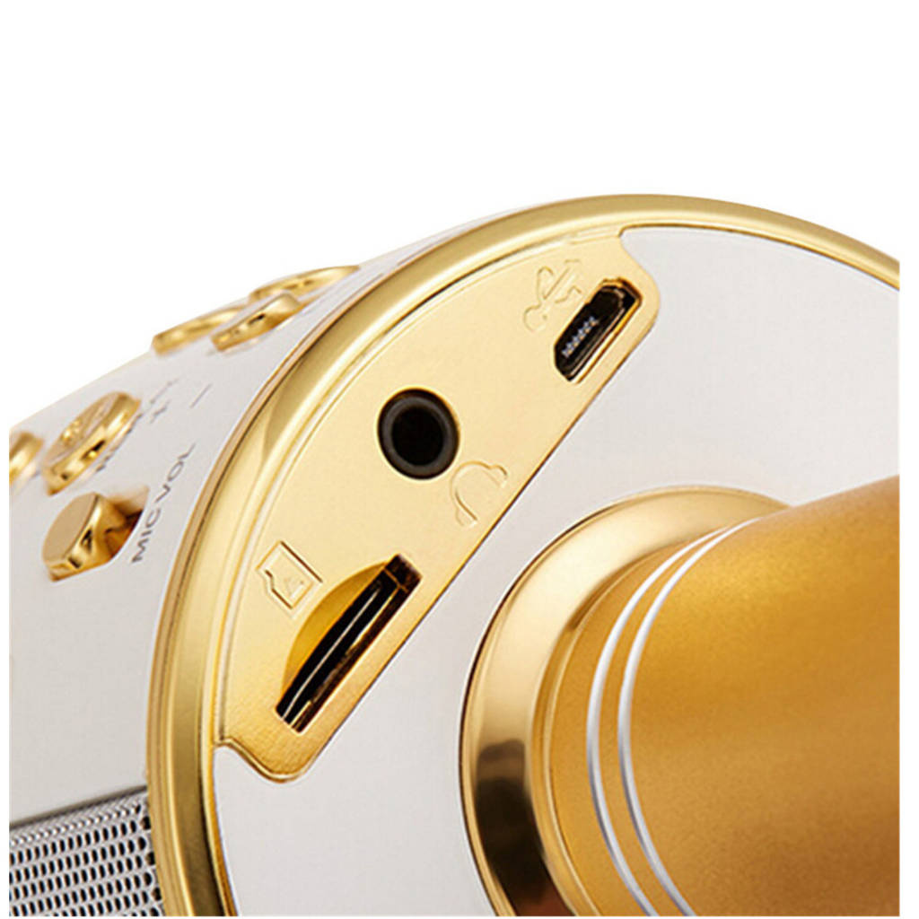 Mikrofon KARAOKE WS858 ZŁOTY