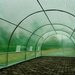 TUNEL FOLIOWY OGRODOWY WARZYWNY OWOCOWY 6 x 3m