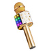Mikrofon KARAOKE WS858L ZŁOTY