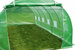 TUNEL FOLIOWY OGRODOWY WARZYWNY OWOCOWY 6 x 3m