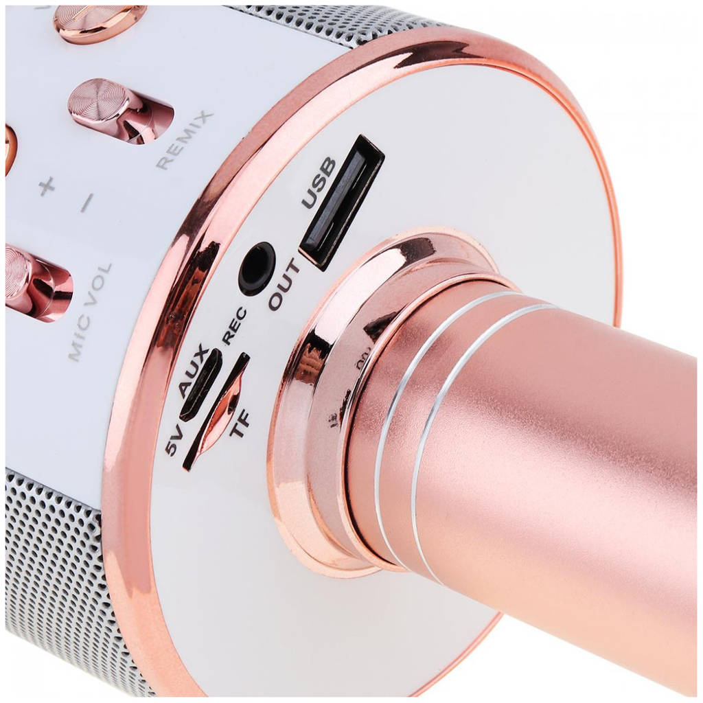 Mikrofon KARAOKE WS858 MIEDZIANY