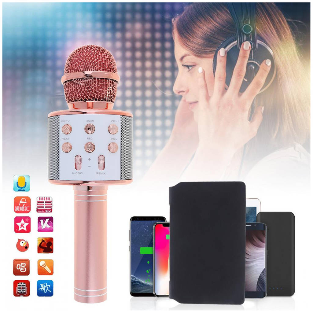 Mikrofon KARAOKE WS858 MIEDZIANY