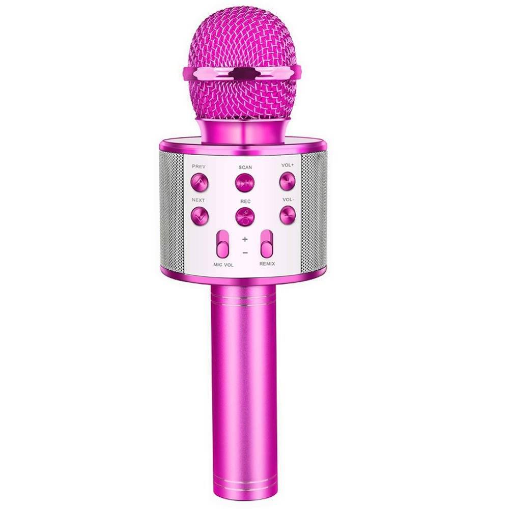 Mikrofon KARAOKE EBT004